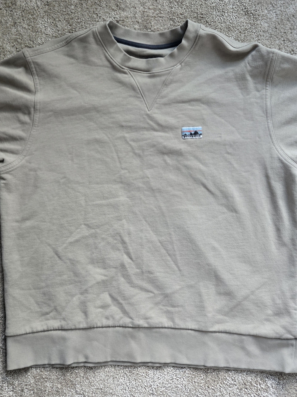 Patagonia Crewneck Sweatshirt in Light Khaki